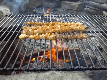 [Hearth.com] some shrimp on the 'barbie'.....