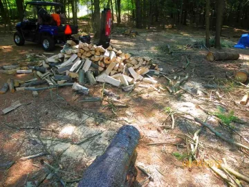 [Hearth.com] Pine Split Today / 8/4/12