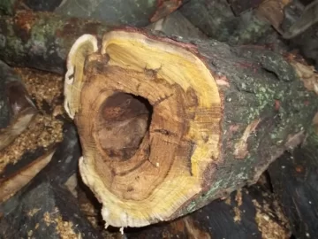 [Hearth.com] ID Please
