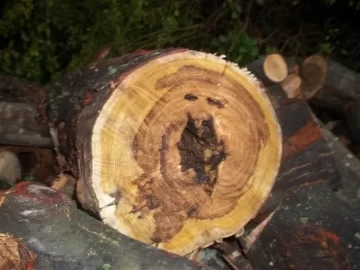 [Hearth.com] ID Please