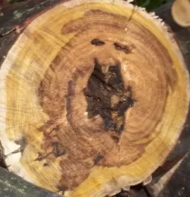 [Hearth.com] ID Please