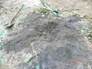 [Hearth.com] Fireplace/Rock Picking
