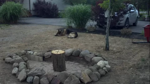 [Hearth.com] Fireplace/Rock Picking