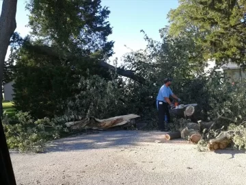 [Hearth.com] Wind damage