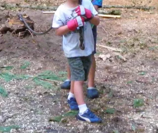 [Hearth.com] The Boys
