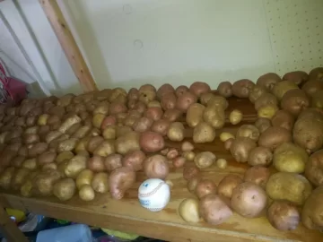 [Hearth.com] Taters