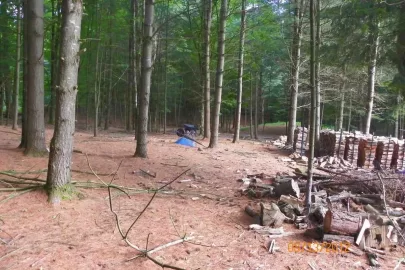 [Hearth.com] Fireplace/Rock Picking