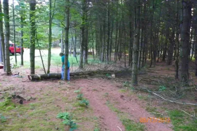 [Hearth.com] Fireplace/Rock Picking