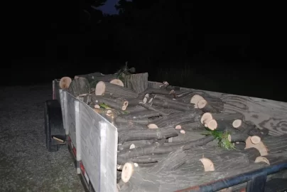 [Hearth.com] A load of oak from the tree service!