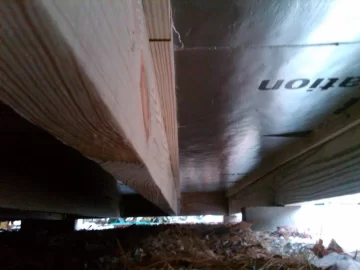 [Hearth.com] Anybody else have an insect ecosystem in their sheds