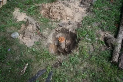 [Hearth.com] Wood stack trouble!