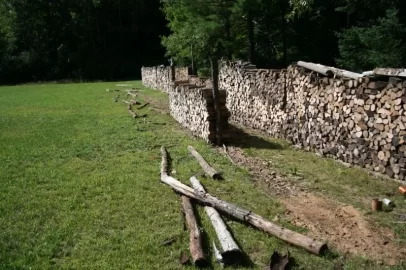 [Hearth.com] Wood stack trouble!