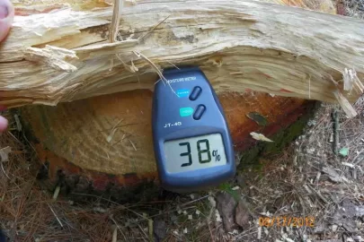 [Hearth.com] Wood Identification