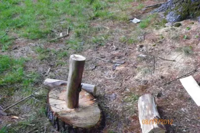 [Hearth.com] Wood Identification