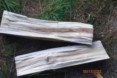 [Hearth.com] Wood Identification