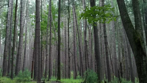 [Hearth.com] Vacation at the Cabin in Pa