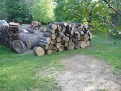 A load of oak from the tree service!