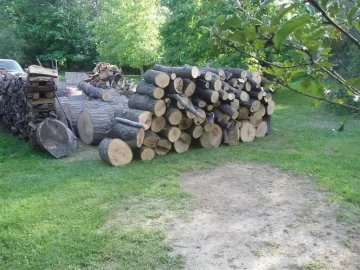 [Hearth.com] A load of oak from the tree service!