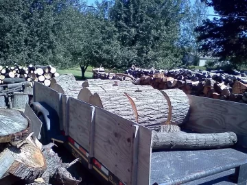 [Hearth.com] A load of oak from the tree service!