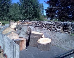 A load of oak from the tree service!