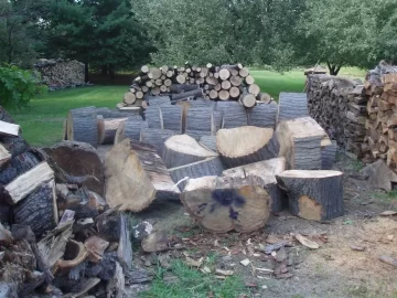 [Hearth.com] A load of oak from the tree service!