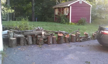 [Hearth.com] red oak score this morning