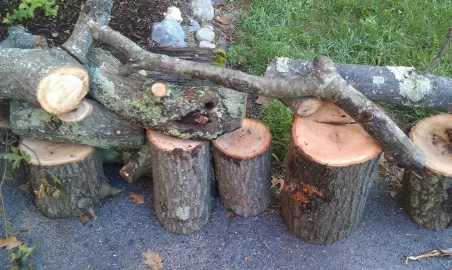 [Hearth.com] red oak score this morning