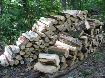 [Hearth.com] And God created wood