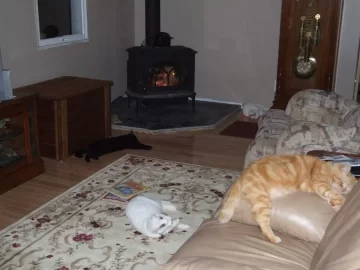[Hearth.com] Show us your homemade hearth