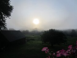 misty morning 001.jpg