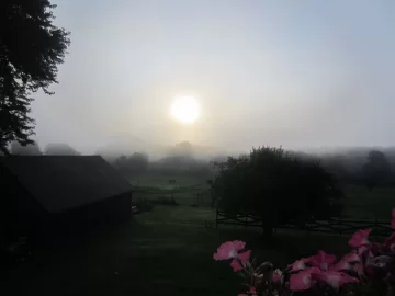 [Hearth.com] misty morning