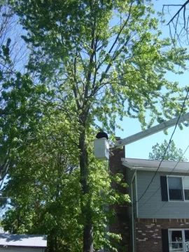[Hearth.com] Worst splitting wood