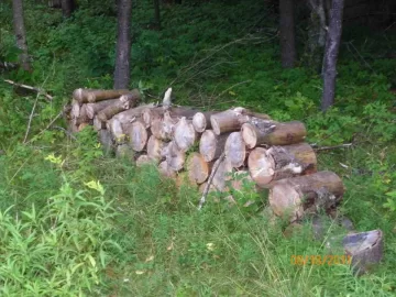 [Hearth.com] Fireplace/Rock Picking