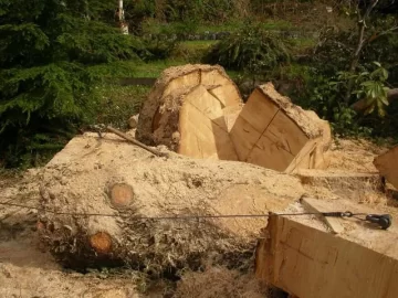 [Hearth.com] Worst splitting wood