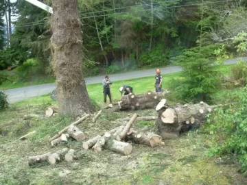 [Hearth.com] Worst splitting wood