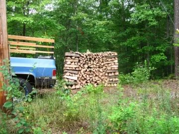 [Hearth.com] Willow oak - too close to pass up