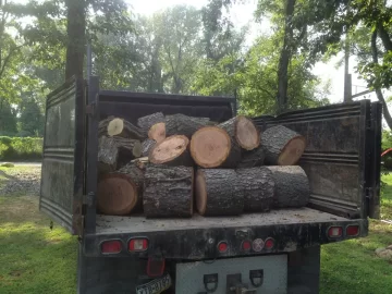 [Hearth.com] Honey Hole