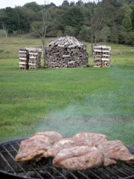 [Hearth.com] Gotta enjoy fires outside while one can.  NE BBQ Chicken.