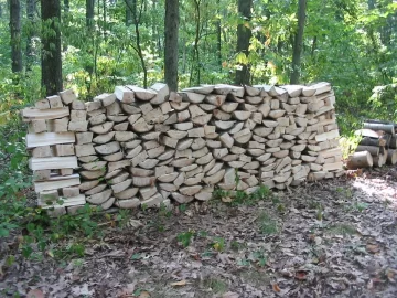 [Hearth.com] And God created wood