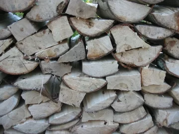 [Hearth.com] And God created wood
