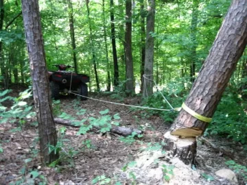 [Hearth.com] Pine in my rear