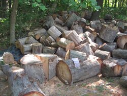 A little late summer splitting,about 150 red oak rounds.