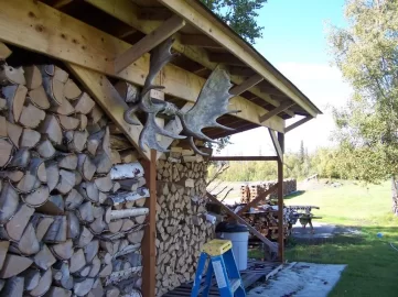 [Hearth.com] Moose antlers back on the wood shed