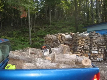 [Hearth.com] scroungin' after the loggers...