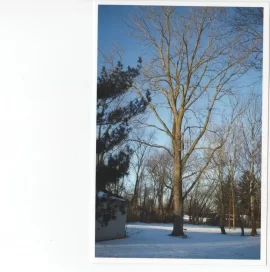 [Hearth.com] Worst splitting wood
