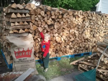 [Hearth.com] Am I a fool for trying to build a shed around my stacks?