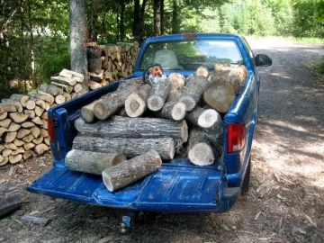 [Hearth.com] scroungin' after the loggers...