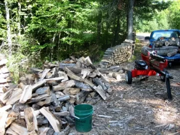 [Hearth.com] scroungin' after the loggers...