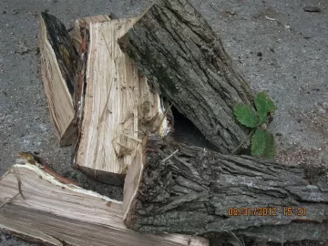 [Hearth.com] Wood ID