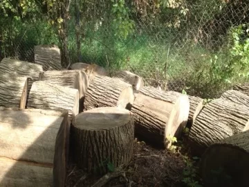 [Hearth.com] Free Ash rounds in Rockland County